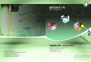 新鄉(xiāng)胡楊廣告設(shè)計(jì) 創(chuàng)意與服務(wù)的完美融合