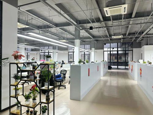 優化營商環境丨人勤春來早,楊浦營商環境暖意融融